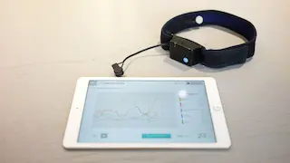 CODE Meee ONE brain research